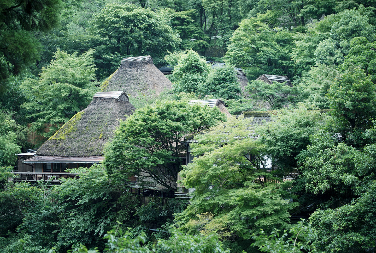 鹿児島 雅叙園